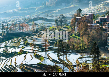 Kleines Dorf und Terraced Rice Fields von YuanYang, China am Morgen Stockfoto
