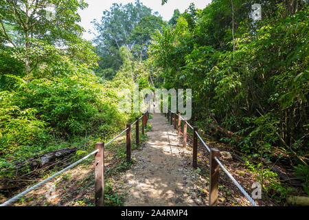 Thomson Naturpark in Singapur. Stockfoto