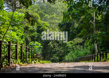 Thomson Naturpark in Singapur. Stockfoto