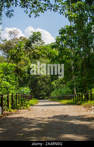 Thomson Naturpark in Singapur. Stockfoto