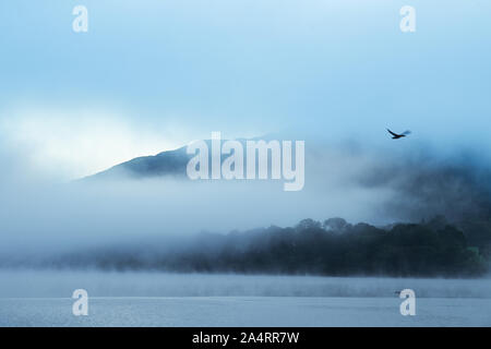 Dawn Cloud beginnt, scheint die Sonne durch den Nebel über einem Waldgebiet am See Bassenthwaite Lake District, Cumbria, England zu zerstreuen. Stockfoto