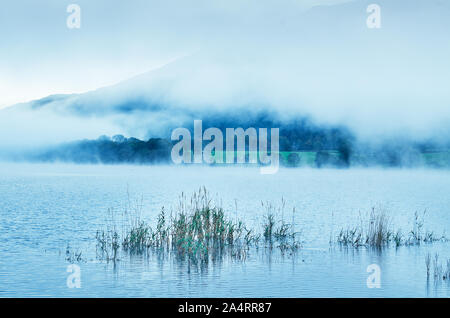 Dawn Cloud beginnt, scheint die Sonne durch den Nebel über einem Waldgebiet am See Bassenthwaite Lake District, Cumbria, England zu zerstreuen. Stockfoto