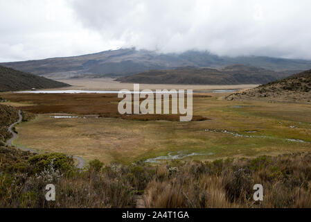 Paramo Alpine Tundra am Fuße der Wolke auf den Vulkan Cotopaxi in Ecuador. Stockfoto