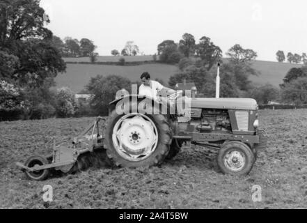 1968 BMC Nuffield 4-65 Traktor. Stockfoto