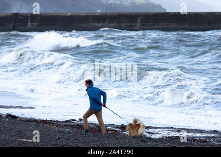 Aberystwyth, Ceredigion, Wales, UK. 16 Okt, 2019. UK Wetter: windigen Morgen mit Sonnenschein in Aberystwyth, wie ein Mann seinen Hund am Strand entlang. Credit: Ian Jones/Alamy leben Nachrichten Stockfoto