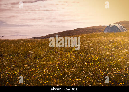 Zelt im Sonnenlicht und unter Wildblumen an Hushinish auf der atlantischen Westküste der Insel Harris, Äußere Hebriden, Schottland Stockfoto