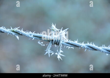 Eiskristalle auf Stacheldraht Stockfoto