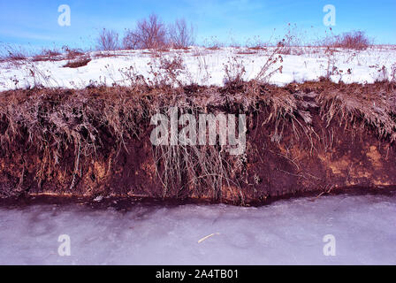 Leuchtend gelbe trockenes Gras zweigen Bedeckt Schnee am Flussufer, dunkle Masse und Eis, Nahaufnahme, strahlend blauen Himmel Hintergrund Stockfoto