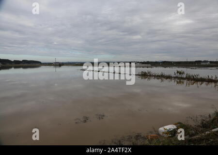 Mito Stadt, Japan. 15 Okt, 2019. Ansicht eines überfluteten Gebiet in der Nähe von Mito Kita Smart Interchange, Überschwemmung Tiefe 7 m 50 cm. Die Zahl der Todesopfer steigt auf 48, zwei Tage nach dem Taifun Hagibis durch Japan übergeben, während 15 werden noch vermisst und mehr als 100 verletzt, als Tausende von Truppen auf Rettungseinsätze im ganzen Land eingesetzt werden. Credit: SOPA Images Limited/Alamy leben Nachrichten Stockfoto