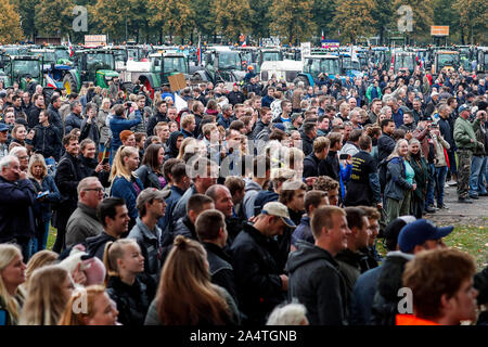 Den Haag, Niederlande. 16 Okt, 2019. Den Haag, 16-10-2019, Den Haag Centre, holländische Nachrichten. Malieveld Credit: Pro Schüsse/Alamy leben Nachrichten Stockfoto