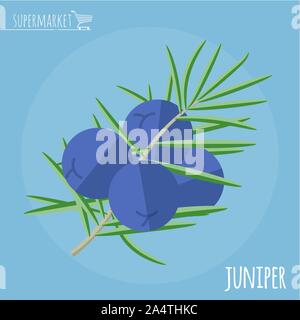 Juniper flache Design Vektor icon. Stock Vektor