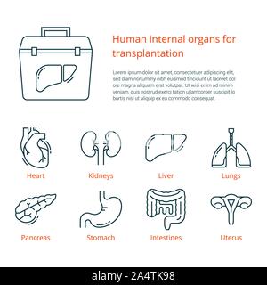 Große Satz linearer Vector Icons von menschlichen Organen für die Transplantation mit einem Platz für Text Stock Vektor