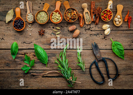 Verschiedene Kräuter und Gewürze in hölzernen Löffel auf Holz- Hintergrund. Stockfoto