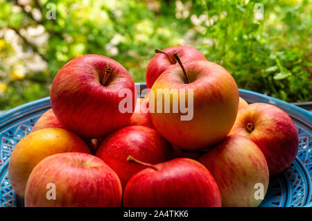 Bio Apfel in einer Schüssel gegen grüne Natur Hintergrund Stockfoto
