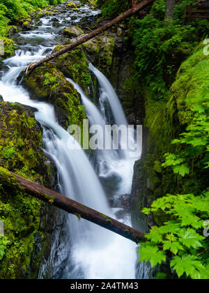 Sol Duc fällt an einem bewölkten Tag auf der Sol Duc Einheit der Olympic National Park, Washington, USA. Stockfoto