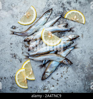 Frische Fische fangen Shishamo voll Eier. Shishamo Fisch ist Fisch für die japanische Küche kochen Tempura. Frische Shishamo Fisch lockt Käufer an der frischen Stockfoto