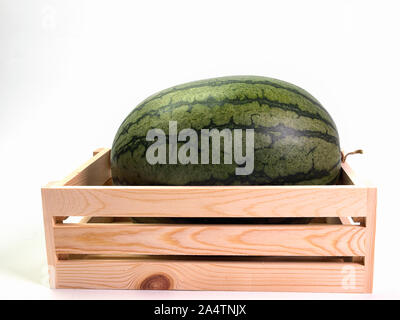 Wassermelone, platziert in Holzkisten, weisser Hintergrund. Stockfoto