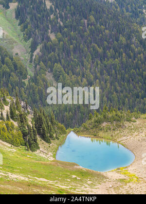 Der Blick von der Nähe des Hindernisses Peak Website der Olympic National Park, Washington, USA. Stockfoto