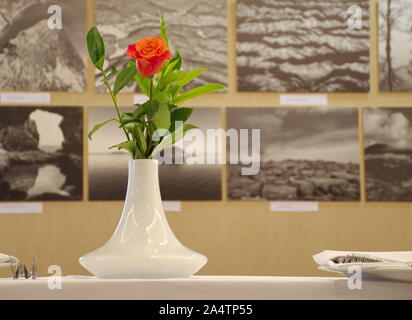 Rote Rose in Weiß Vase auf dem Tisch Stockfoto