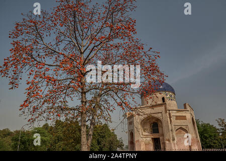 11-März-2007 - Nila Gumbad (Blue Dome) in der Nähe von Humayun Tomb, Nizamuddin - Delhi Indien Stockfoto