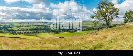 Auf Lunedale von stumpfen Haus in der Nähe von Middleton-in-Teesdale, UK Panorama Stockfoto