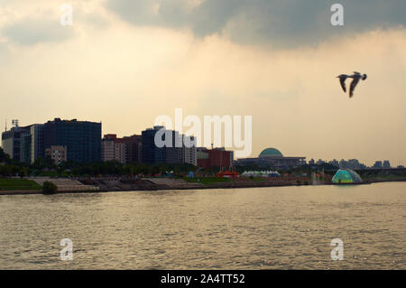 Hängen Sie den Fluss in Seoul am Abend mit Möwen Stockfoto