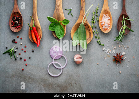 Verschiedene Gewürze und Kräuter in der Kochlöffel. Flach Gewürze Zutaten Chili, Pfeffer, rosemarry, Thymian, Sternanis, Salbei und Basilikum Stockfoto