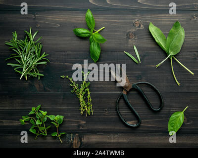 Verschiedenen Gewürzen und Kräutern auf Holz- Hintergrund. Flach Gewürze Zutaten Rosmarin, Thymian, Oregano, Salbei und Basilikum auf dunklen Holz. Stockfoto