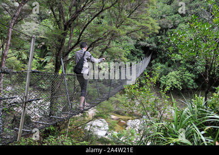 Um Neuseeland - Suspension Bridge auf der Wainui Falls Anschluss Stockfoto