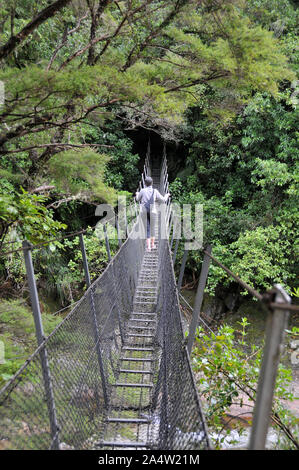 Um Neuseeland - Suspension Bridge auf der Wainui Falls Anschluss Stockfoto