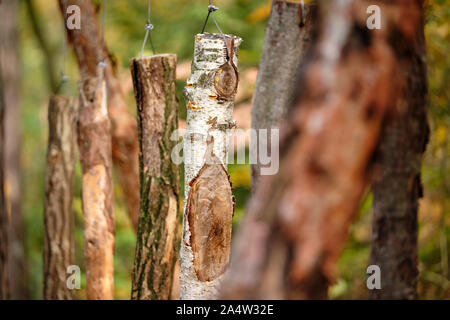 Birkenholz und andere Arten von Holz hängen an den Drähten im Wald o, dass sie ihren Ton hören können, wenn das Klopfen Sie an. Im Oktober in Deutschland gesehen Stockfoto