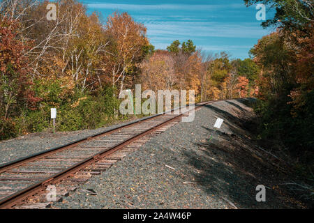 Eisenbahnschienen in ländlichen Minnesota Stockfoto