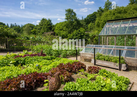 Der Gemüsegarten im RHS Rosemoor im Sommer in der Nähe von Great Torrington, Devon, England. Stockfoto