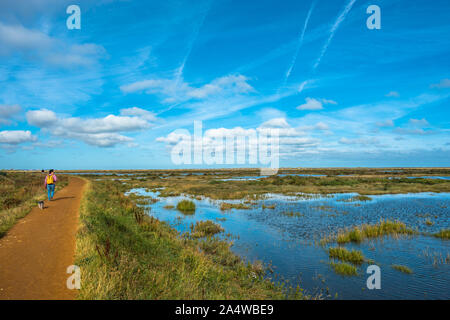 Morston Salzwiesen von der Blakeney zu Morston Küstenweg gesehen. Norfolk, England, UK. Stockfoto