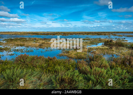 Morston Salzwiesen von der Blakeney zu Morston Küstenweg gesehen. Norfolk, England, UK. Stockfoto