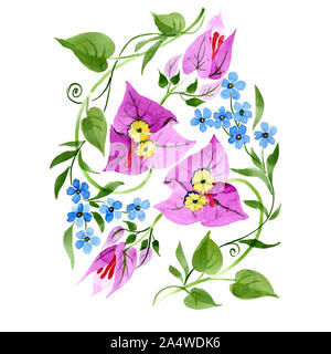 Ornament floral botanischen Blumen. Aquarell Hintergrund Abbildung. Isolierte Blumensträuße Abbildung Element. Stockfoto