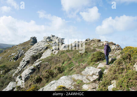 Frau Wanderer zu Fuß entlang der Bergrücken im Tal der Felsen in Richtung Castle Rock, Devon, Exmoor Stockfoto