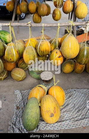 Die köstlichen usbekischen Melonen waren bereits durch die mittelalterliche Reisende Ibn Battuta gelobt. Dekhon Basar, Chiwa. Usbekistan Stockfoto