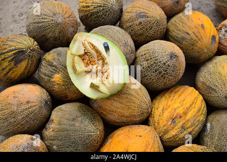 Die köstlichen usbekischen Melonen waren bereits durch die mittelalterliche Reisende Ibn Battuta gelobt. Dekhon Basar, Chiwa. Usbekistan Stockfoto