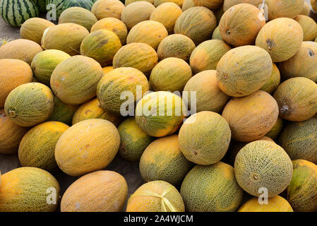 Die köstlichen usbekischen Melonen waren bereits durch die mittelalterliche Reisende Ibn Battuta gelobt. Dekhon Basar, Chiwa. Usbekistan Stockfoto