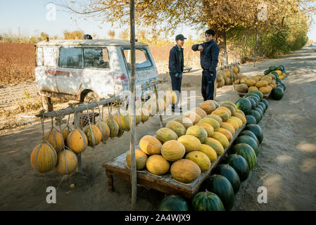 Melonen Anbieter. Kyzylkum Wüste in der Nähe von Fluss Amudarja. Die köstlichen usbekischen Melonen waren bereits durch die mittelalterliche Reisende Ibn Battuta gelobt. Uzbekist Stockfoto