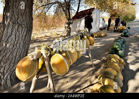 Melonen Anbieter. Kyzylkum Wüste in der Nähe von Fluss Amudarja. Die köstlichen usbekischen Melonen waren bereits durch die mittelalterliche Reisende Ibn Battuta gelobt. Uzbekist Stockfoto