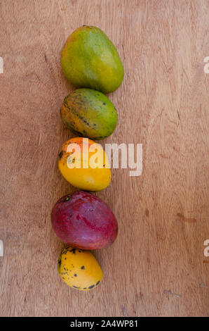 Eine Linie von Mangos Stockfoto