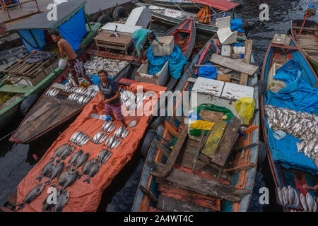 Die Angeln habor in Porto Flutante oder Schwimmenden Hafen, offenen Fischerboote mit Inhaber Verkauf von frischem Fisch, Manaus, Amazonas, Brasilien, Lateinamerika Stockfoto