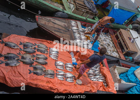 Die Angeln habor in Porto Flutante oder Schwimmenden Hafen, offenen Fischerboote mit Inhaber Verkauf von frischem Fisch, Manaus, Amazonas, Brasilien, Lateinamerika Stockfoto