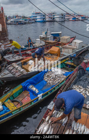 Die Angeln habor in Porto Flutante oder Schwimmenden Hafen, offenen Fischerboote mit Inhaber Verkauf von frischem Fisch, Manaus, Amazonas, Brasilien, Lateinamerika Stockfoto