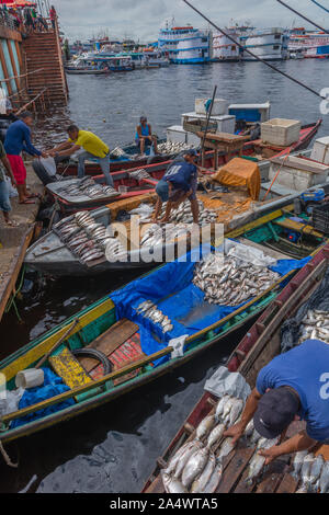 Die Angeln habor in Porto Flutante oder Schwimmenden Hafen, offenen Fischerboote mit Inhaber Verkauf von frischem Fisch, Manaus, Amazonas, Brasilien, Lateinamerika Stockfoto