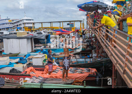 Die Angeln habor in Porto Flutante oder Schwimmenden Hafen, offenen Fischerboote mit Inhaber Verkauf von frischem Fisch, Manaus, Amazonas, Brasilien, Lateinamerika Stockfoto