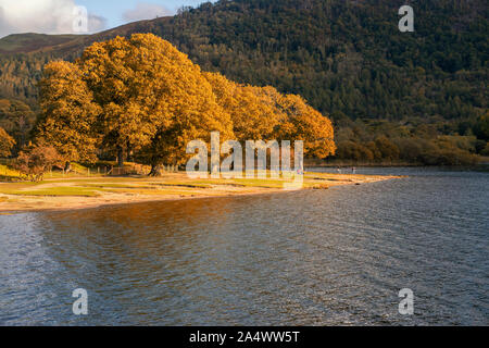 Derwentwater ist eines der wichtigsten Organe des Wasser im Lake District National Park in North West England. Stockfoto