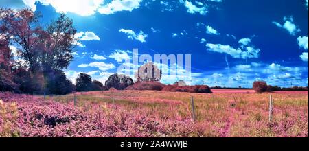 Eautiful fantasy Infrarot Landschaft Panorama in rosa und lila Farben Stockfoto